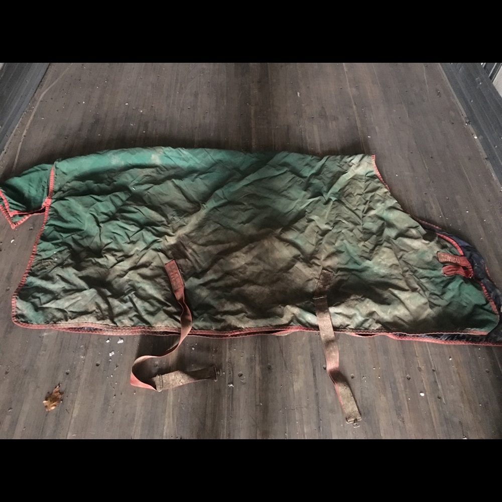 Horse blanket